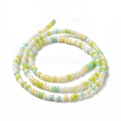 Fili di perle di semi di vetro&nbsp;LAMP-B021-04B
