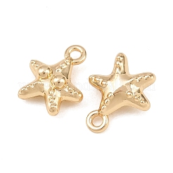 Pendentif en alliage &nbsp;AL-CBA83D5-04G