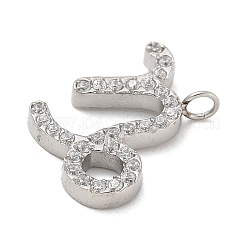 304 Edelstahl Micro Pave Zirkonia Charms&nbsp;STAS-Z107-09P-12