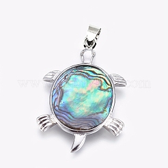 Abalone Shell / Paua Shelljewelry Sets&nbsp;SJEW-P089-02