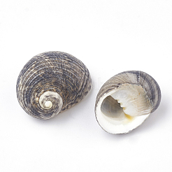 Perles de coquillages en spirale&nbsp;LS-SSHEL-R036-33