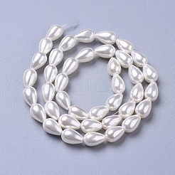 Polierte Muschelperlenstränge&nbsp;X-BSHE-L042-A02