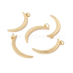 Pendentifs de placage en laiton&nbsp;KK-C247-07G