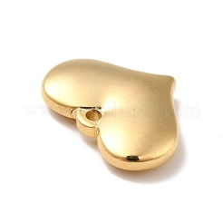 Pendentifs en acier inoxydable 304 avec placage ionique (IP)&nbsp;LS-STAS-E176-01G