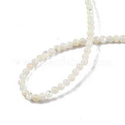Natürliche weiße Muschelperlenstränge&nbsp;X-SSHEL-N003-144A-01