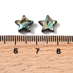 Natürliche Abalone-Muschel / Paua-Muschelperlen&nbsp;SHEL-B003-12
