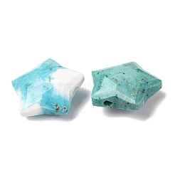 Natürliche howlite Anhänger / charms&nbsp;G-H241-04E