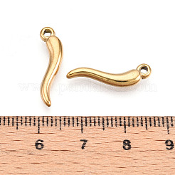 Ciondoli in acciaio inox 304&nbsp;STAS-N109-16G