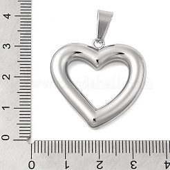 Pendentifs en acier inoxydable 304&nbsp;STAS-D110-43P