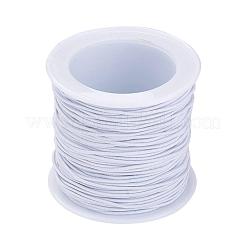 Cuerda elástica&nbsp;RB1.0mm
