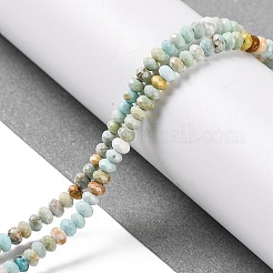 Fili di perline howlite naturale&nbsp;G-H025-03B-06