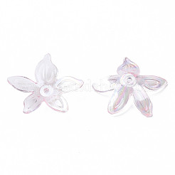 Abalorios de acrílico transparentes&nbsp;LS-MACR-S373-102-C02
