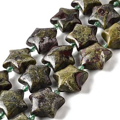 Naturdrachenblut Perlen Stränge&nbsp;G-U023-C01-07