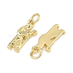 Messing Anhänger & Charms&nbsp;KK-B170-21G