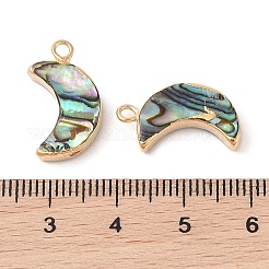Natur Paua Muschel Anhänger&nbsp;SHEL-P017-24G