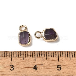 Natürliche Amethyst Rechteck Charms&nbsp;G-Q169-07G-09