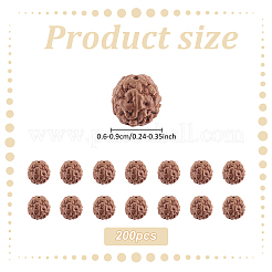 200 Stück ungefärbte natürliche Rudraksha-Perlen&nbsp;WOOD-ME0001-14