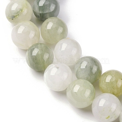 Granos de piedras preciosas naturales hebras&nbsp;G-F808-C02-12mm