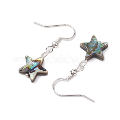 Natürliche Abalone Muschel/Paua Muschel Ohrhänger&nbsp;EJEW-JE05915