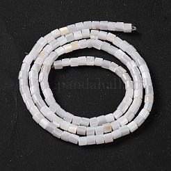 Natürlichen Süßwasser-Muschelperlen Stränge&nbsp;BSHE-S304-08