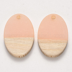 Pendentifs en résine et bois transparent&nbsp;RESI-S384-007A-C02