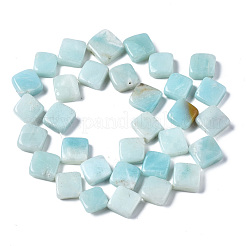 Fili di perline amazonite naturale&nbsp;G-N0326-73B-02