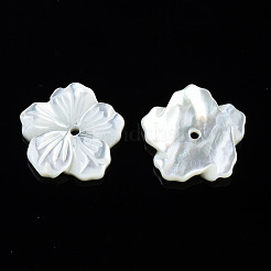 Perlas de concha de nácar de concha blanca natural&nbsp;SSHEL-T014-42A