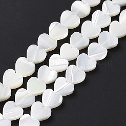 Natürliche Trochusmuschelperlenstränge&nbsp;SSHEL-H070-06B