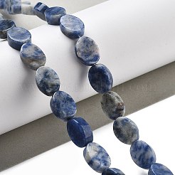 Natürliche blaue Fleck Jaspis Perlen Stränge&nbsp;G-P559-B26-01