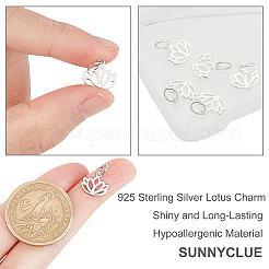 5 Stück 925 Sterlingsilber-Anhänger&nbsp;STER-SC0001-15