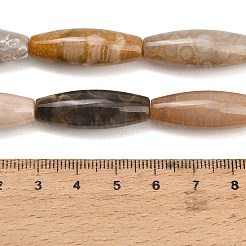 Natürlichen fossilen Korallenperlen Stränge&nbsp;GG-CBA362F-03