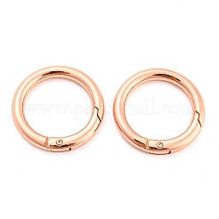 Alu-Federringringe&nbsp;PALLOY-H246-RG