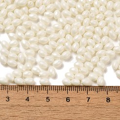 Backlack Glasperlen&nbsp;SEED-C004-04G