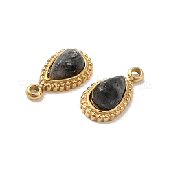 Natürliche Labradorit-Tropfen-Charms&nbsp;STAS-B074-04G-03