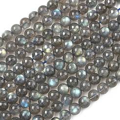 Perline labradorite naturale fili&nbsp;G-L654-O02-6mm