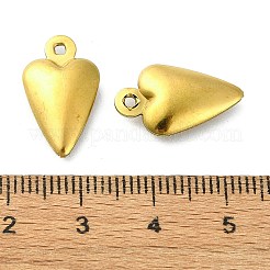 Placcatura ionica (ip) ciondoli in acciaio inossidabile 304&nbsp;STAS-L024-009G