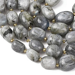 Natur Labradorit Perlen Stränge&nbsp;G-G453-D10-01