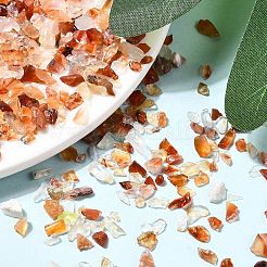 Natürlichen Karneol Chip-Perlen&nbsp;G-O103-18