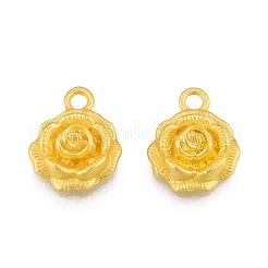 Pendentifs en alliage&nbsp;FIND-G035-03MG