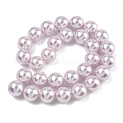 Perles de perles de coquille galvanoplastie&nbsp;BSHE-G041-14mm-06