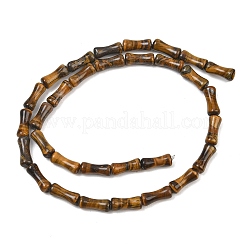 Chapelets de perles d'œil de tigre naturel&nbsp;GG-CBAEB22-A06-01