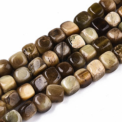 Natürlichen Tigerauge Perlen Stränge, gefärbt, Würfel, dark khaki, 7x7~8x7~8 mm, Bohrung: 1 mm, ca. 50~52 Stk. / Strang, 14.57~14.96 Zoll (37~38 cm)