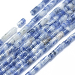 Perles de jaspe tache bleue naturelle, colonne, 4~5x2~2.5mm, Trou: 0.6~0.8mm, Environ 90~102 pcs/chapelet, 15.3~15.7 pouce (39~40 cm)