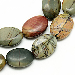 Fili di perline di diaspro policromo naturale/pietra di picasso/diaspro picasso, ovale, 18x13x6mm, Foro: 1~2 mm, circa 22pcs/filo, 15.7 pollice