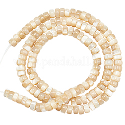 Nbeads environ 196 pièce de perles heishi en coquille de trochide naturelle, Perles de coquille rondes plates de 4mm, entretoise de colonne de trochus, brins de perles de disque pour la fabrication de bijoux, bracelet, collier, boucle d'oreille