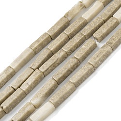 Natürlichen fossilen Perlen Stränge, Würfel, 12~13x4x4 mm, Bohrung: 1.2 mm, ca. 29~30 Stk. / Strang, 15.24''~15.63'' (38.7~39.7 cm)