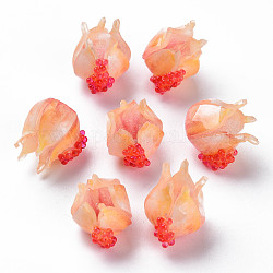 Perles en plastique, grenade, peachpuff, 15~16x15.5~17x13~14mm, Trou: 1.4mm