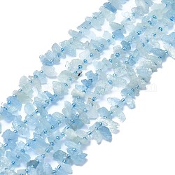 Chapelets de perles en aigue-marine naturelle, pépites, 9~19x6~9x3~8mm, Trou: 1mm, Environ 69 pcs/chapelet, 15.55 pouce (39.5 cm)
