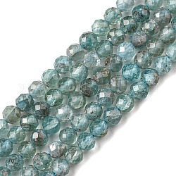 Chapelets de perles en apatite naturelle, facette, ronde, 3.2~3.5mm, Trou: 0.7mm, Environ 116~117 pcs/chapelet, 15.12~15.35 pouce (38.4~39 cm)