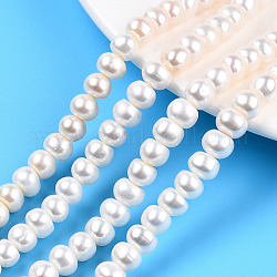 Brins de perles de culture d'eau douce naturelles, rondelle, couleur de coquillage, 8~9.5x5.5~7mm, Trou: 0.7mm, Environ 56~60 pcs/chapelet, 14.88 pouce ~ 15.87 pouces (37.8~40.3 cm)